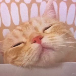 Meet your Posher, Jair